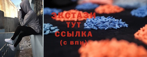 молекула духа Кропоткин