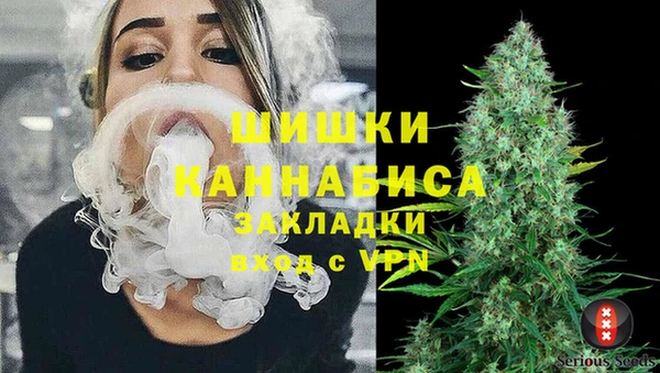 трава Коряжма