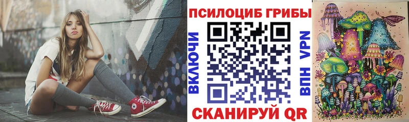 Псилоцибиновые грибы Psilocybine cubensis  Новокубанск 