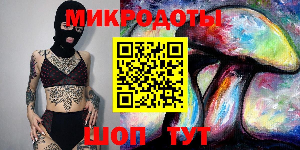 Псилоцибиновые грибы Psilocybe Новокубанск